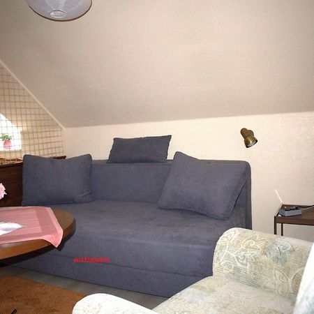 Ferienwohnung Birkenstuebchen Lautenthal Exterior foto